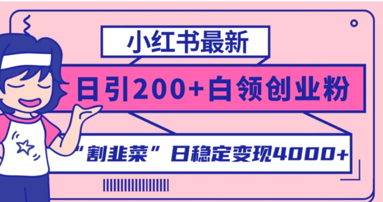 小红书最新日引200+创业粉”割韭菜“日稳定变现4000+实操教程！-大源资源网