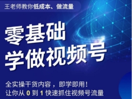 王老师教你低成本、做流量，零基础学做视频号，0-1快速抓住视频号流量-大源资源网