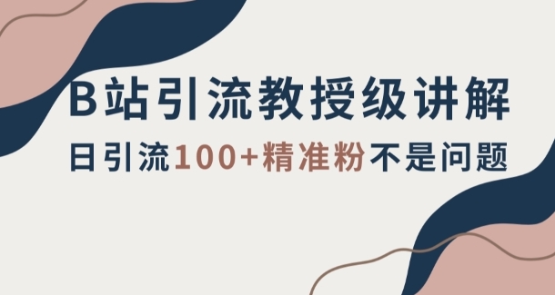 B站引流教授级讲解，细节满满，日引流100+精准粉不是问题【揭秘】-大源资源网