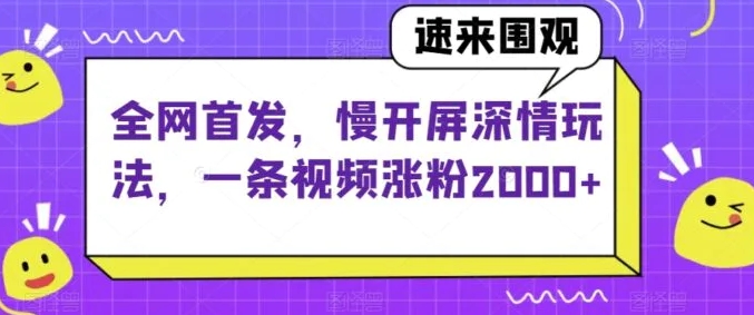 全网首发，慢开屏深情玩法，一条视频涨粉2000+【揭秘】-大源资源网