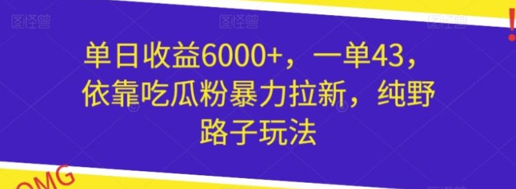 单日收益6000+，一单43，依靠吃瓜粉暴力拉新，纯野路子玩法-大源资源网