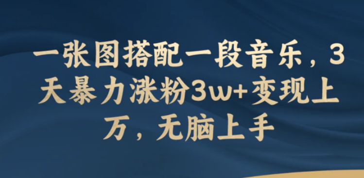 一张图搭配一段音乐，3天暴力涨粉3w+变现上万，无脑上手-大源资源网