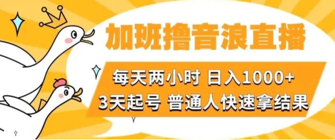 加班撸音浪直播，每天两小时，日入1000+，直播话术才3句，3天起号，普通人快速拿结果【揭秘】-大源资源网