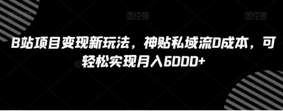 B站项目变现新玩法，神贴私域流0成本，可轻松实现月入6000+【揭秘】-大源资源网