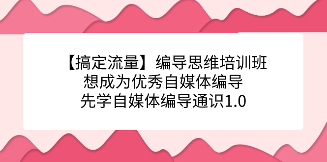 【搞定流量】编导思维培训班，想成为优秀自媒体编导先学自媒体编导通识1.0-大源资源网