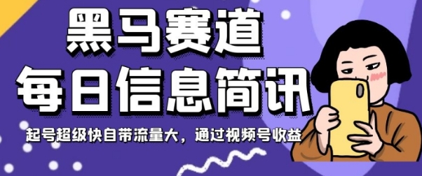 黑马赛道每日信息简讯，起号超级快自带流量大，通过视频号收益【揭秘】-大源资源网