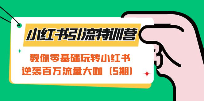 小红书引流特训营-第5期：教你零基础玩转小红书，逆袭百万流量大咖-大源资源网