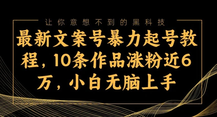 最新文案号暴力起号教程，10条作品涨粉近6万，小白无脑上手-大源资源网