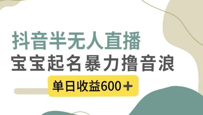 抖音半无人直播，宝宝起名，暴力撸音浪，单日收益600+-大源资源网