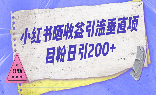 《小红书晒收益图引流》垂直项目粉，日引200+-大源资源网