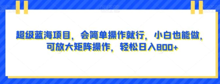 超级蓝海项目，会简单操作就行，小白也能做，可放大矩阵操作，轻松日入800+，-大源资源网