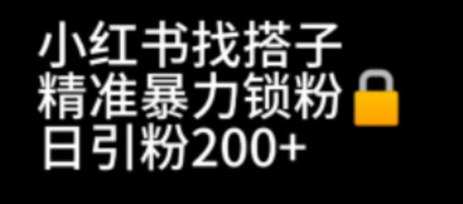 小红书找搭子暴力精准锁粉+引流日引200+精准粉-大源资源网