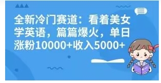 全新冷门赛道：看着美女学英语，篇篇爆火，单日涨粉10000+收入5000+-大源资源网