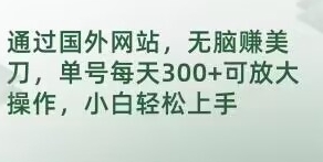 通过国外网站，无脑赚美刀，单号每天300+可放大操作，小白轻松上手【揭秘】-大源资源网