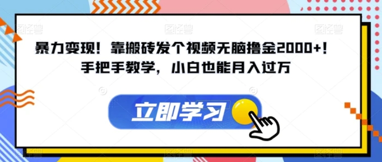 暴力变现！靠搬砖发个视频无脑撸金2000+！手把手教学，小白也能月入过万【揭秘】-大源资源网