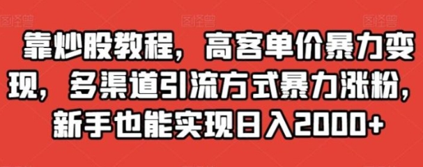 靠炒股教程，高客单价暴力变现，多渠道引流方式暴力涨粉，新手也能实现日入2000+【揭秘】-大源资源网