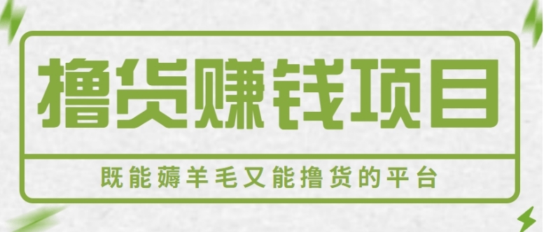 新手小白可做，既能撸货又能薅羊毛赚钱的项目，轻松日赚几十几百元【视频教程】-大源资源网