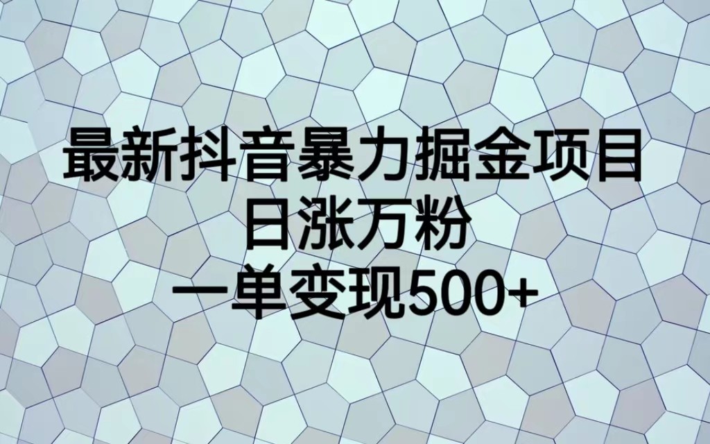 最新抖音暴力掘金项目，日涨万粉，一单变现500+-大源资源网