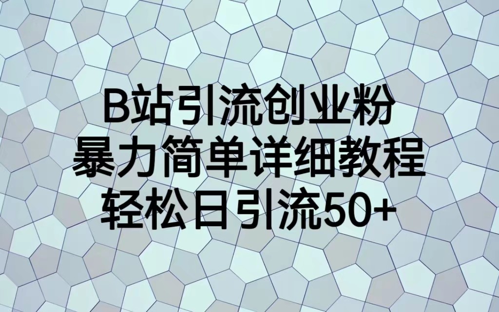 B站引流创业粉，暴力简单详细教程，轻松日引流50+-大源资源网