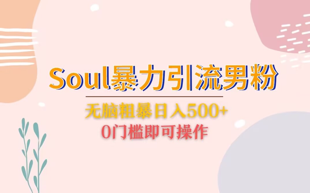 Soul暴力引流男粉玩法，无脑粗暴日入500＋，0门槛即可操作-大源资源网