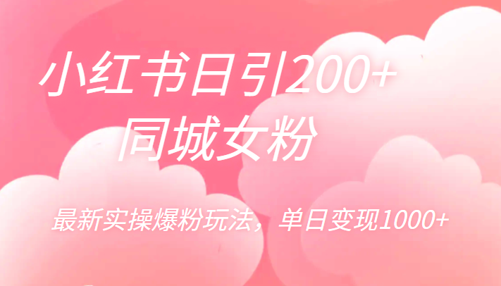 小红书日引200+同城女粉，最新实操爆粉玩法，单日变现1000+-大源资源网