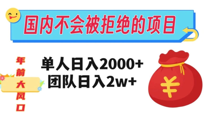 在国内不怕被拒绝的项目，单人日入2000，团队日入20000+【揭秘】-大源资源网