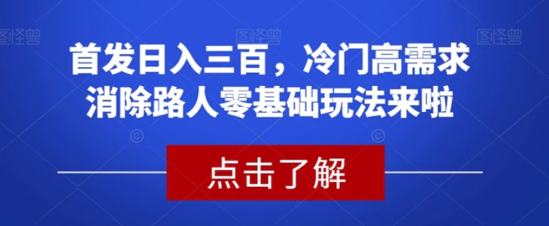 首发日入三百，冷门高需求消除路人零基础玩法来啦【揭秘】-大源资源网