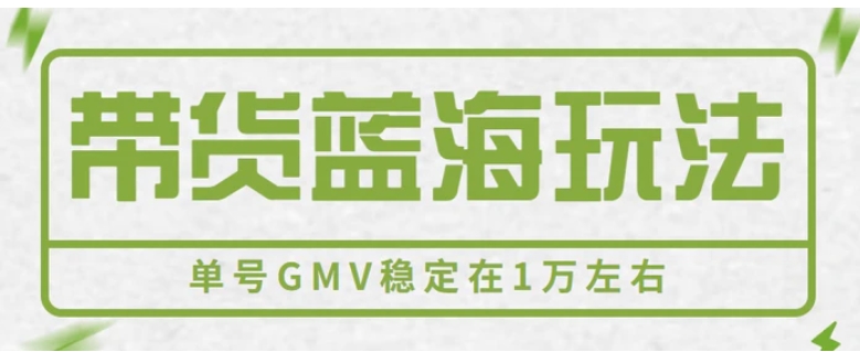 视频号带货蓝海玩法，英文育儿书单号带货详解，单号GMV稳定在1万左右。-大源资源网