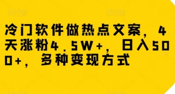 冷门软件做热点文案，4天涨粉4.5W+，日入500+，多种变现方式【揭秘】-大源资源网