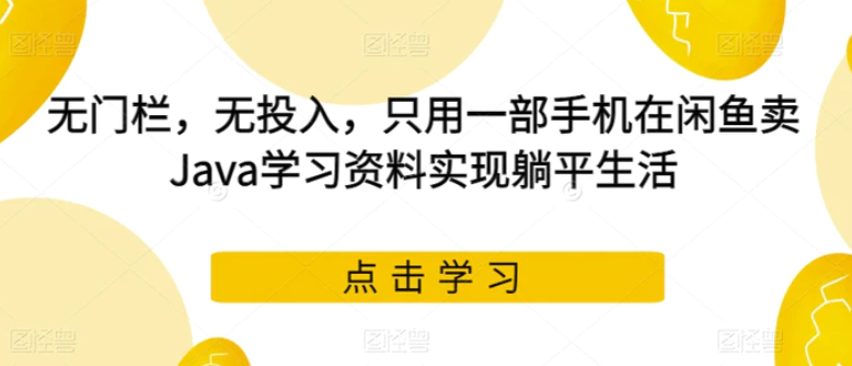 无门栏，无投入，只用一部手机在闲鱼卖Java学习资料实现躺平生活【揭秘】-大源资源网