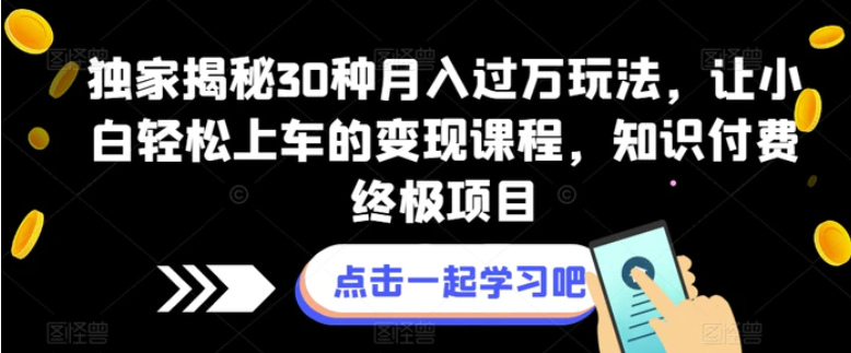 独家揭秘30种月入过万玩法，让小白轻松上车的变现课程，知识付费终极项目【揭秘】-大源资源网