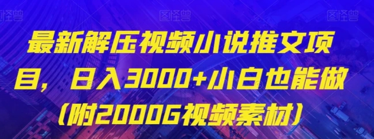 最新解压视频小说推文项目，日入3000+小白也能做【揭秘】-大源资源网