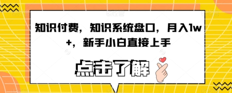 知识付费，知识系统盘口，月入1w+，新手小白直接上手-大源资源网