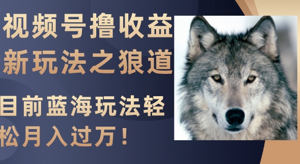 视频号撸收益新玩法之狼道，目前蓝海玩法轻松月入过万！-大源资源网