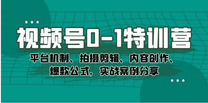 视频号0-1特训营：平台机制、拍摄剪辑、内容创作、爆款公式，实战案例分享-大源资源网