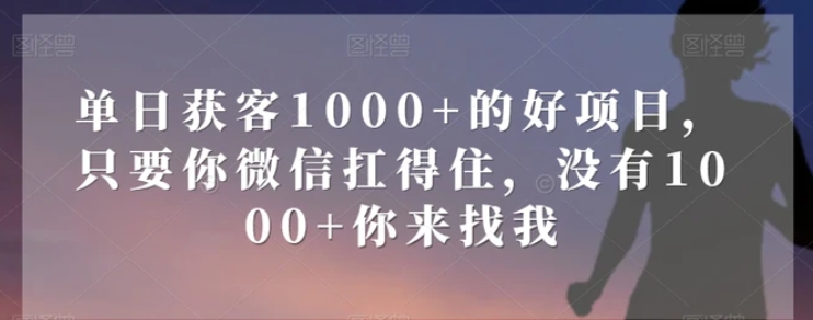 单日获客1000+的好项目，只要你微信扛得住，没有1000+你来找我【揭秘】-大源资源网