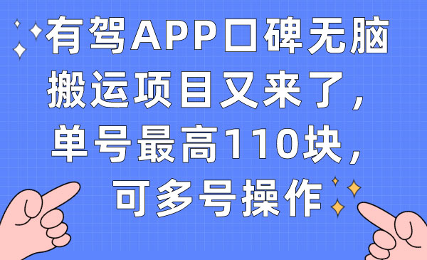 《有驾APP口碑无脑搬运项目》单号最高110块，可多号操作-大源资源网