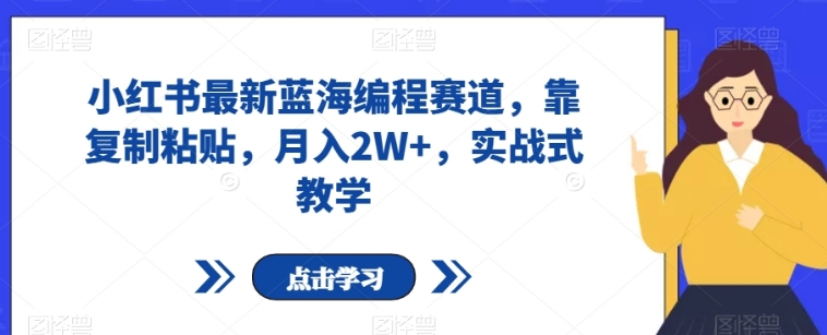 小红书最新蓝海编程赛道，靠复制粘贴，月入2W+，实战式教学【揭秘】-大源资源网