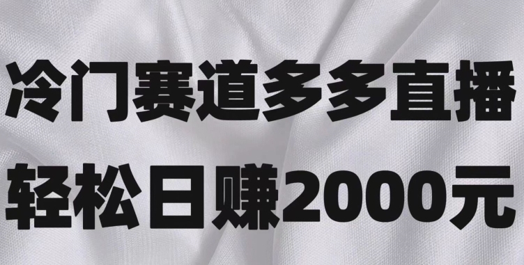 冷门赛道拼多多直播，简单念稿子，日收益2000＋【揭秘】-大源资源网