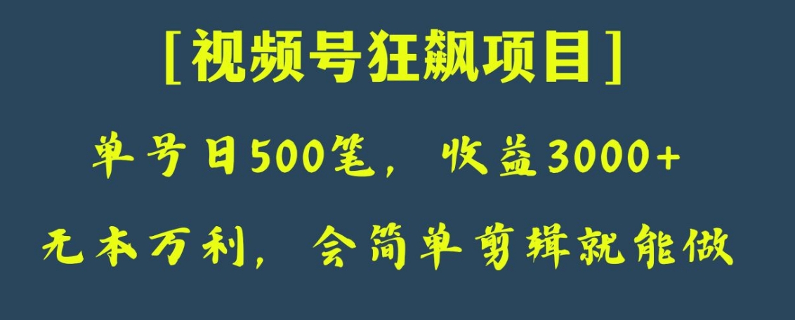 日收款500笔，纯利润3000+，视频号狂飙项目！-大源资源网