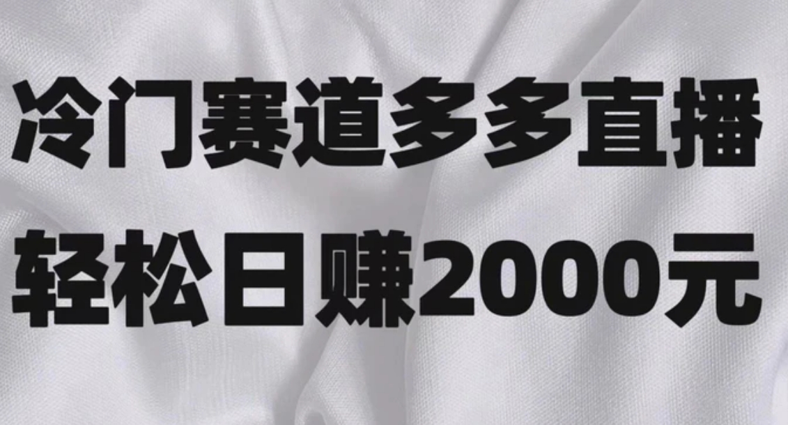 冷门赛道拼多多直播项目，简单念稿子，日收益2000＋-大源资源网