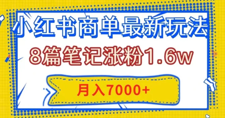 小红书商单最新玩法，8篇笔记涨粉1.6w，几分钟一个笔记，月入7000+-大源资源网