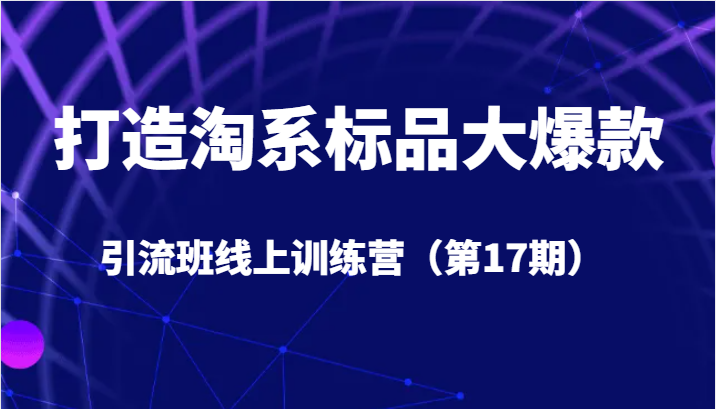 打造淘系标品大爆款引流班线上训练营5天直播授课+1个月答疑-大源资源网