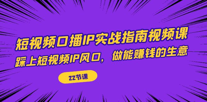 短视频口播IP实战指南视频课，踩上短视频IP风口，做能赚钱的生意-大源资源网