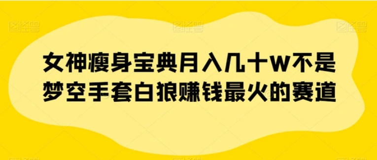 女神瘦身宝典月入几十W不是梦空手套白狼赚钱最火的赛道【揭秘】-大源资源网