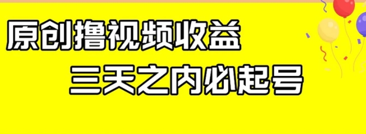 最新撸视频收益，三天之内必起号，一天保底100+【揭秘】-大源资源网