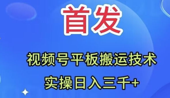 全网首发：视频号平板搬运技术，实操日入三千＋-大源资源网