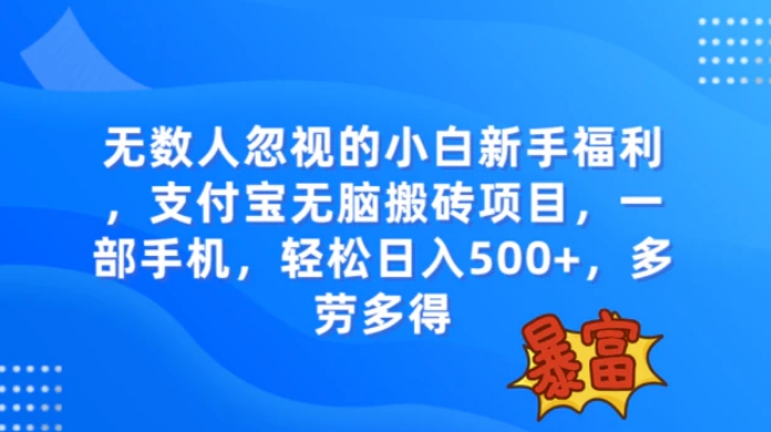 无数人忽视的项目，支付宝无脑搬砖项目，一部手机即可操作，轻松日入500+-大源资源网