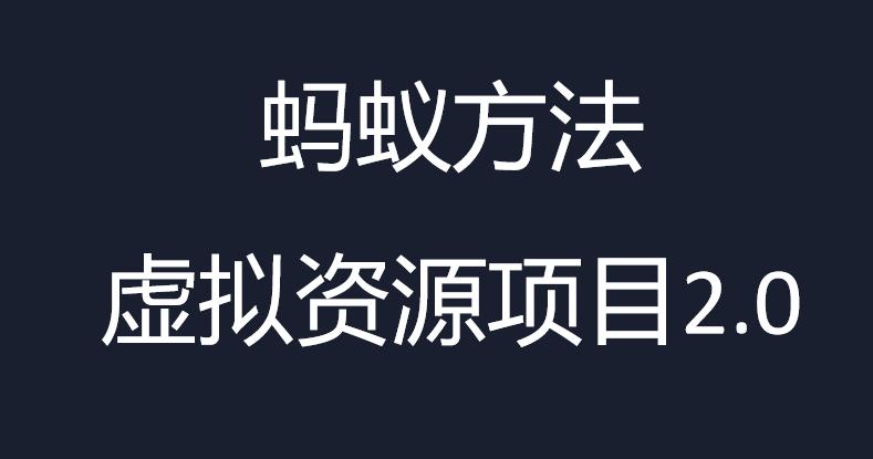 虚拟资源掘金课，虚拟资源的全套玩法 价值1980元-大源资源网