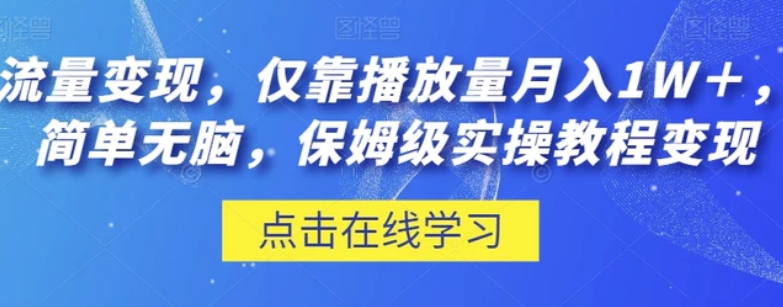 流量变现，仅靠播放量月入1W＋，简单无脑，保姆级实操教程【揭秘】-大源资源网